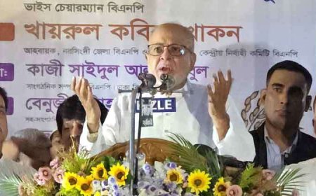 সংস্কার যদি হতে হয় জিয়ার তিন মতবাদের ভিত্তিতে হতে হবে  :গিয়াস উদ্দিন কাদের চৌধুরী