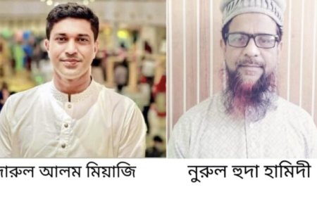 বারইয়ারহাট কলেজের গভর্নিং বডির সভাপতি হলেন দিদারুল আলম: সদস্য নুরুল হুদা হামিদী