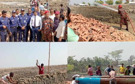 ভ্রাম্যমাণ আদালতের মাধ্যমে তজুমদ্দিনে ৩ ইট ভাটাকে আর্থিক জরিমানা