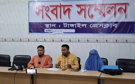 সাংবাদিকের উপর হামলা, বাড়িতে ভাংচুর ও লুটপাট