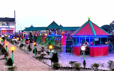 খাবারের পাশাপাশি নয়াদামান রেস্টুরেন্টের পরিবেশেও নজর ভোজন রসিকদের