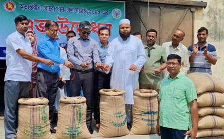 জামালপুরে আওয়ামী লীগ নেতাকে  নিয়ে ধান-চাল সংগ্রহ অভিযানের শুভ উদ্বোধন