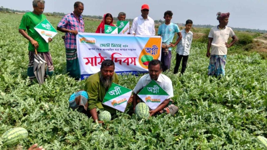 কয়রায় অগ্নি তরমুজ বীজের উপর মাঠ দিবস অনুষ্ঠিত