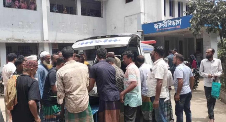কলাপাড়ায় অটোরিকশা উল্টে চালক নিহত