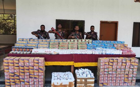 ৪৯ বিজিবি'র অভিযানে ২ কোটি ৭ লক্ষ টাকার ভারতীয় মালামাল জব্দ করেছে