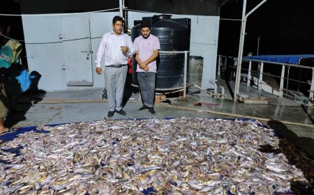 বঙ্গোপসাগরে সরকারি নিষেধাজ্ঞা ভেঙে মাছ শিকার: কোস্ট গার্ডের অভিযানে আটক ২৭ জেলে, ৫ ট্রলার জব্দ