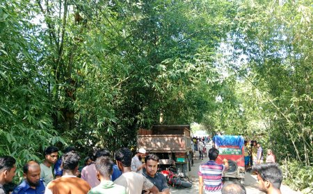 গোপালপুরে মোটরসাইকেল দুর্ঘটনায় নিহত ১