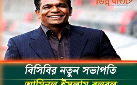 বিসিবির নতুন সভাপতি হলেন আমিনুল বুলবুল