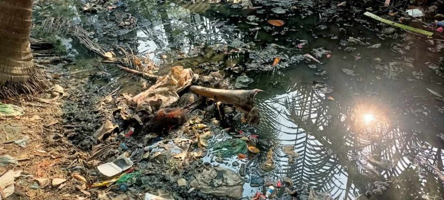 কলাপাড়ায় খাল থেকে অজ্ঞাত নারীর মরদেহ উদ্ধার