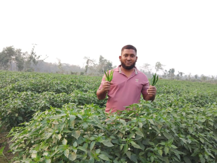 সমন্বিত খামার গড়ে স্বাবলম্বী মীরসরাইয়ের আফতাব উদ্দিন