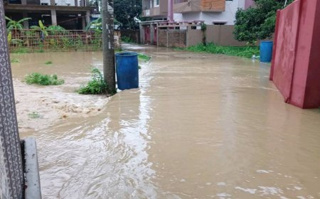 মিরসরাইয়ে টানা বৃষ্টি ও পাহাড়ি ঢলে নিম্নাঞ্চল প্লাবিত