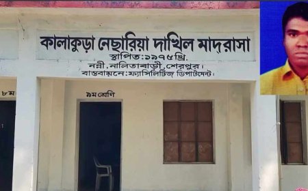 মাদ্রাসায় না এসেই শেরপুরে বছর ধরে বেতন আত্মসাৎ প্রায় ২২ লাখ টাকা