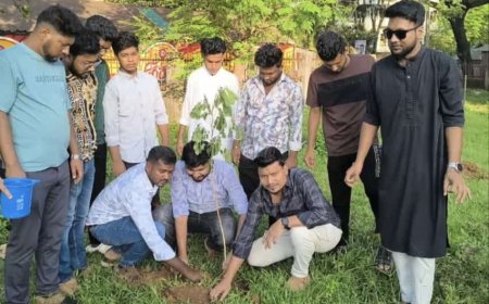 তারেক রহমানের নির্দেশ সবার আগে বাংলাদেশ এই স্লোগানকে সামনে রেখেই সাভারে পালিত হয়েছে বিশ্ব পরিবেশ দিবস ও বৃক্ষরোপণ কর্মসূচি