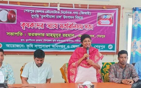 শেরপুরের তুলশীমালার উৎপাদন বিষয়ক মতবিনিময় সভা