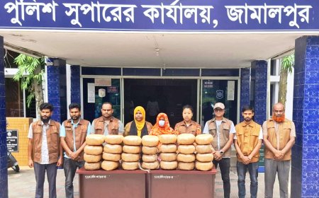 জামালপুরে ৭৪ কেজি গাঁজাসহ মাদক কারবারী গ্রেপ্তার