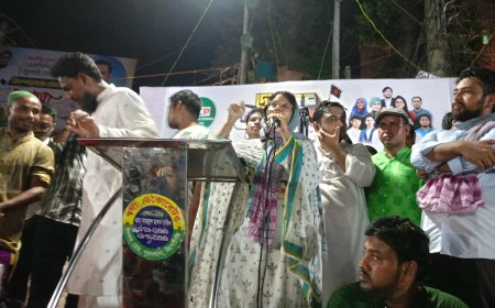 কিশোরগঞ্জে এনপিপির পদযাত্রা, বিশাল জনসভায় নাহিদ ইসলাম