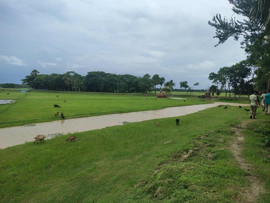 মহিপুর থানার ডালবুগঞ্জে স্থানীয় কৃষকের জমি ও ঘের দখলের অভিযোগ যুবদল নেতাদের বিরুদ্ধে