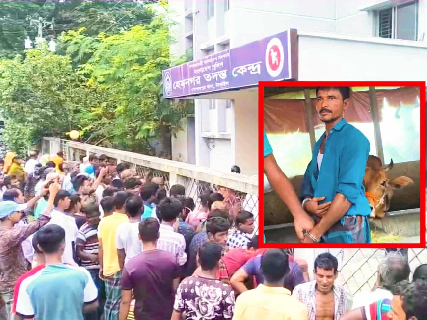 গরু চোর'কে এক নজর দেখতে থানায়  উৎসুক জনতার ভীড়