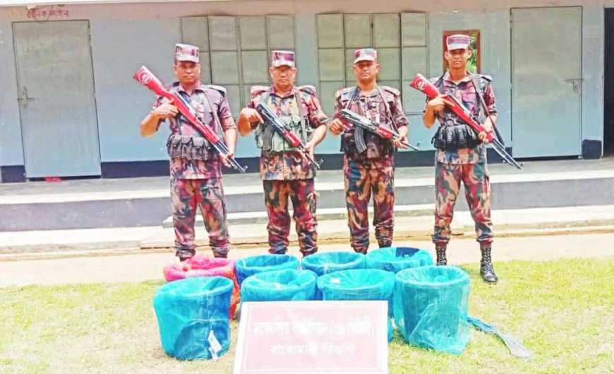 ভারতে পাচারকালে ৬৩ কেজি শিং মাছ জব্দ করেছে বিজিবি