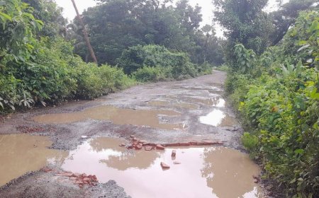 মীরসরাইয়ের জোরারগঞ্জ-মুহুরী প্রজেক্ট সড়কের বেহাল দশা, জনদূর্ভোগ