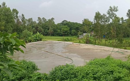 মীরসরাইয়ে অবৈধভাবে বালু উত্তোলন, ভিডিও করায় সাংবাদিককে হেনস্তা