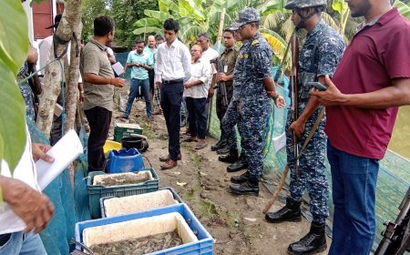কয়রায় চিংড়িতে জেলি পুশ, ৫০ হাজার টাকা জরিমানা