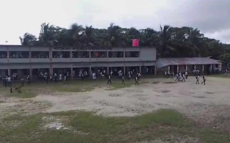 মহিপুর কো-অপারেটিভ স্কুলে রেজিস্ট্রেশন জালিয়াতি