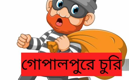 গোপালপুরে ভরদুপুরে ব্যাবসায়ীর দোকানে চুরি