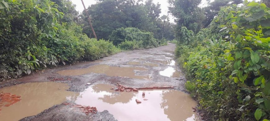 মীরসরাইয়ের জোরারগঞ্জ-মুহুরী প্রজেক্ট সড়কের বেহাল দশা, জনদূর্ভোগ