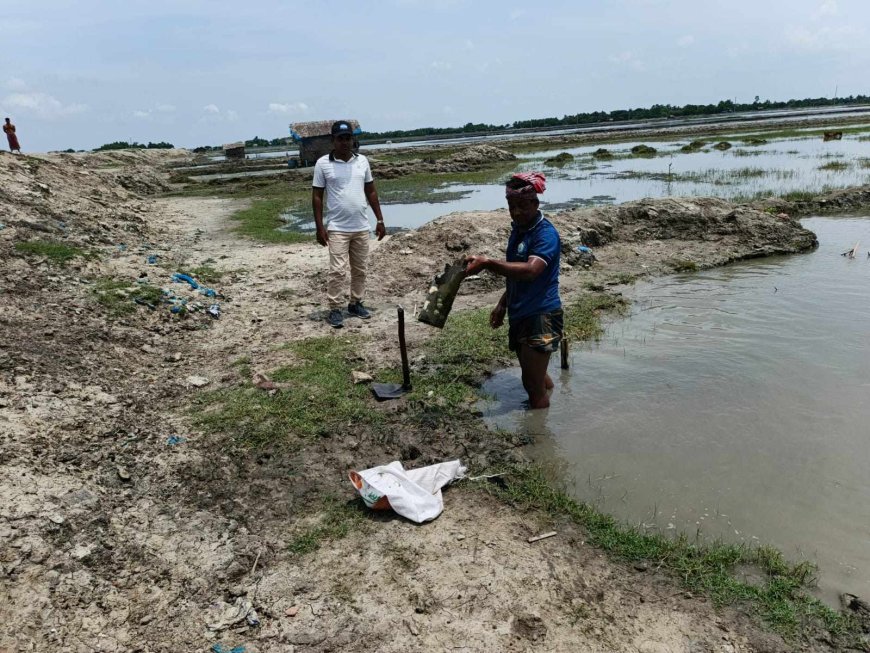 কয়রায় চিংড়ি ঘেরের অবৈধ পাইপ অপসারণ 