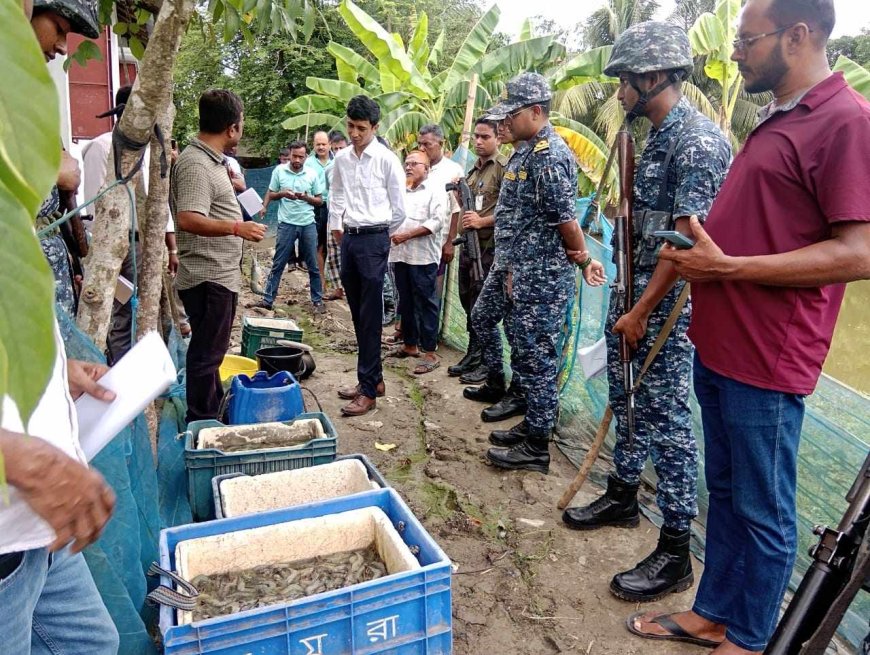 কয়রায় চিংড়িতে জেলি পুশ, ৫০ হাজার টাকা জরিমানা