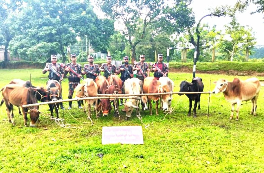 পাহাড়ি সীমান্তে লাখ টাকার ভারতীয় মালামাল জব্দ করেছে বিজিবি