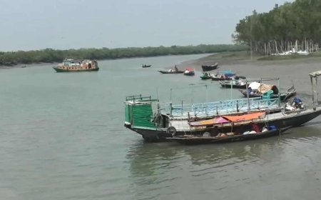 দীর্ঘ তিন মাস বন্ধ থাকার পর বনজীবি ও পর্যটকদের জন্য আজ থেকে খুলে দেওয়া হয়েছে সুন্দরবনের দুয়ার