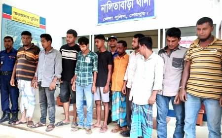 পিডিবি’র তার চুরি করতে গিয়ে ঠিকাদারী ৯জন গ্রেফতার