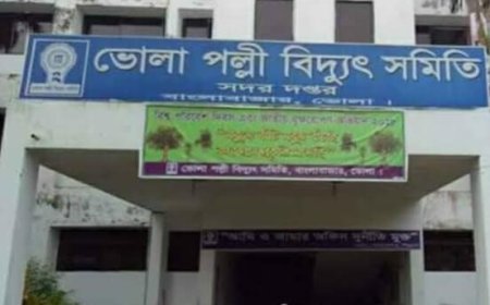 ভোলায় পল্লী বিদ্যুৎ এজিএম ওএন্ডএম  মাত্র ৩ ঘণ্টা অফিসে বসেও,কর্মচারীদের সঙ্গে অসভ্য আচরণ