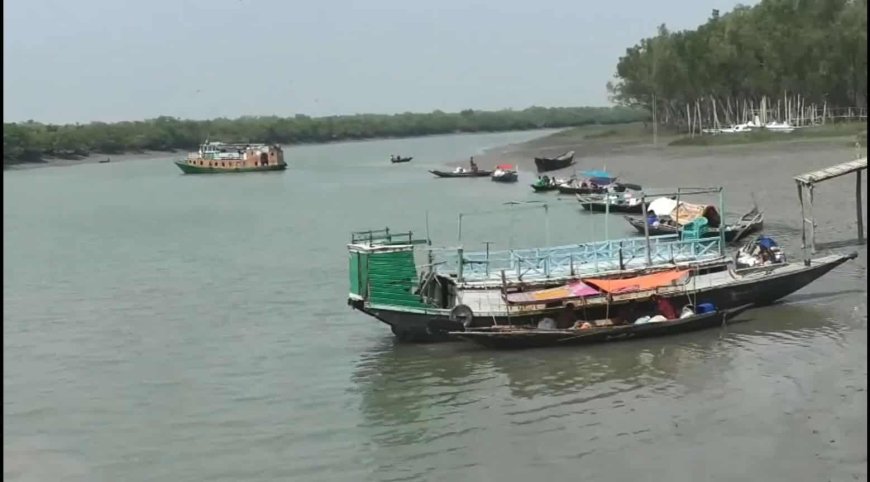 দীর্ঘ তিন মাস বন্ধ থাকার পর বনজীবি ও পর্যটকদের জন্য আজ থেকে খুলে দেওয়া হয়েছে সুন্দরবনের দুয়ার