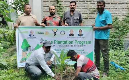 রোটারি ক্লাব অব রয়েল সাতক্ষীরার উদ্যোগে  বৃক্ষরোপন