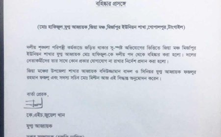 গোপালপুরে দলীয় শৃঙ্খলা ভঙ্গের অভিযোগে বিএনপি নেতা বহিষ্কার