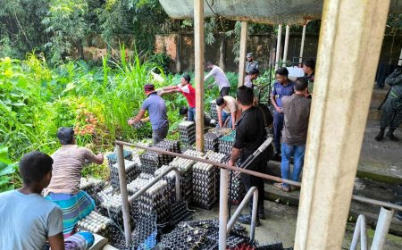 কিশোরগঞ্জের পাকুন্দিয়ার এগারোসিন্দুর কোল্ড স্টোরেজের প্রায় ০২ লক্ষ পচা ডিম জব্দ ও ধ্বংস এবং ০৩ লক্ষ টাকা জরিমানা
