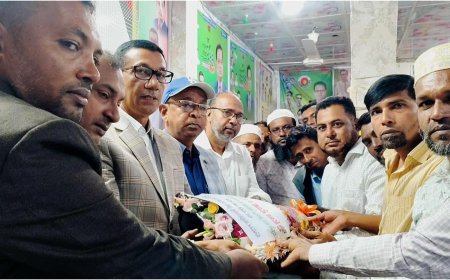 মহিপুরে জিয়া সৈনিক দলের পূর্ণাঙ্গ থানা কমিটি ঘোষণা