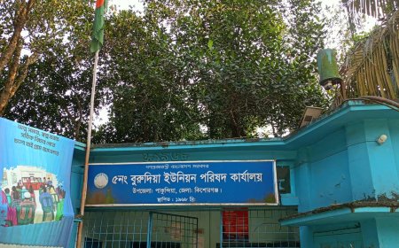 ইউনিয়ন পরিষদ চেয়ারম্যানের সাম্রাজ্য।  নিজেই ঠিকা নিয়ে  নিম্নমানের  ব্রীজ তৈরী করছে