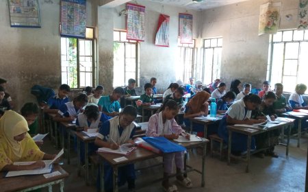 মীরসরাইয়ে সরকারী মডেল টেস্ট পরীক্ষা অতিরিক্ত টাকা নেওয়ার অভিযোগ