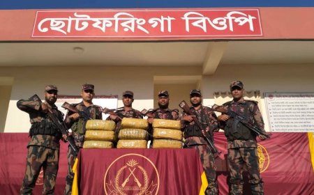 মিরসরাইয়ের ছোট ফরিংগা সীমান্তে বিওপি টহলদলের অভিযানে ৩০ কেজি গাঁজা জব্দ