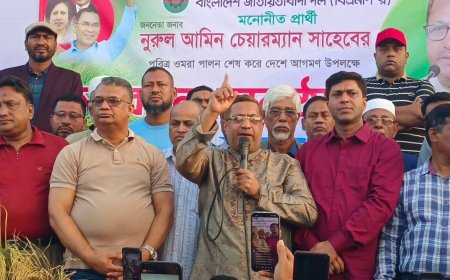 নির্বাচন বানচালের ষড়যন্ত্রে দাঁতভাঙ্গা জবাব দিবে বিএনপি - নুরুল আমিন চেয়ারম্যান