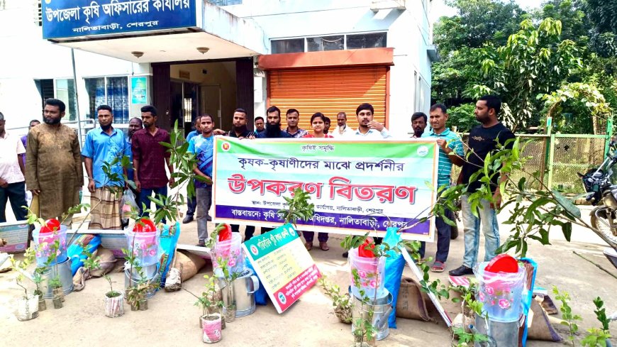 শেরপুরের নালিতাবাড়ীতে পতিত জমি ও বসতবাড়ির আঙ্গিনায় কৃষক-কৃষাণী প্রশিক্ষণ