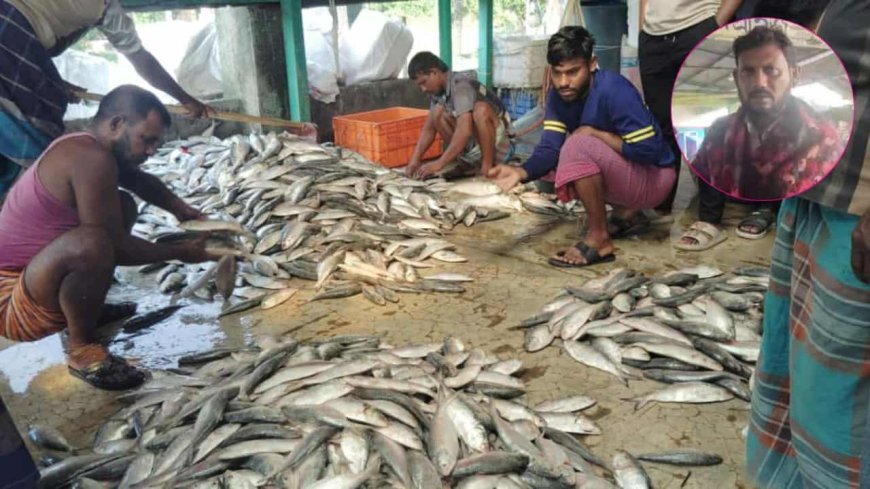 থামছেনা জাটকা সিন্ডিকেটের দৌরাত্ম্য, সংবাদ সংগ্রহে বাধা