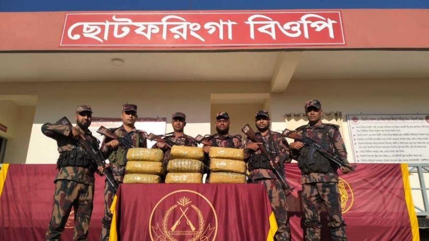 মিরসরাইয়ের ছোট ফরিংগা সীমান্তে বিওপি টহলদলের অভিযানে ৩০ কেজি গাঁজা জব্দ