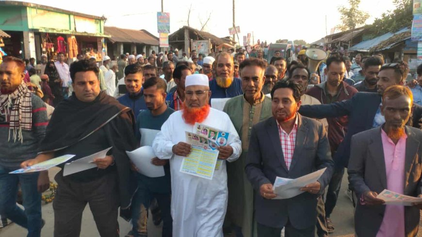 সাতক্ষীরার আশাশুনিতে বিএনপির ৩১ দফা লিফলেট বিতরণ