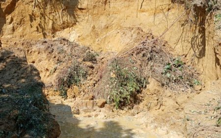 মীরসরাইয়ে অবৈধ পাহাড় কাটায় বাঁধা, বনকর্মীদের উপর হামলা আহাত ৪ 