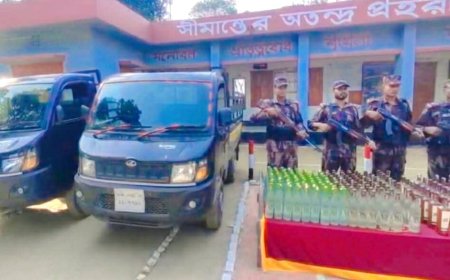 শেরপুরের বিজিবির অভিযানে ভারতীয় মদসহ পিকআপ ভ্যান আটক